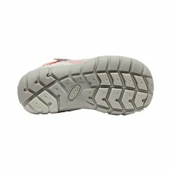 Keen Chandler CNX Sneaker Für Jüngere Kinder | Drizzle/Dubarry 7 Keen Chandler CNX Sneaker Für Jüngere Kinder | Drizzle/Dubarry -Keen Verkäufe f321d613cca43347e2f7503f6aea0c9ffc09e17e